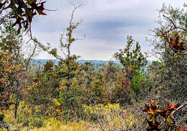 4303 NW Twin Ponds Road, Altha, FL 32421