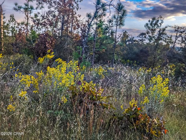 4303 NW Twin Ponds Road, Altha, FL 32421