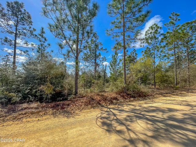 4303 NW Twin Ponds Road, Altha, FL 32421