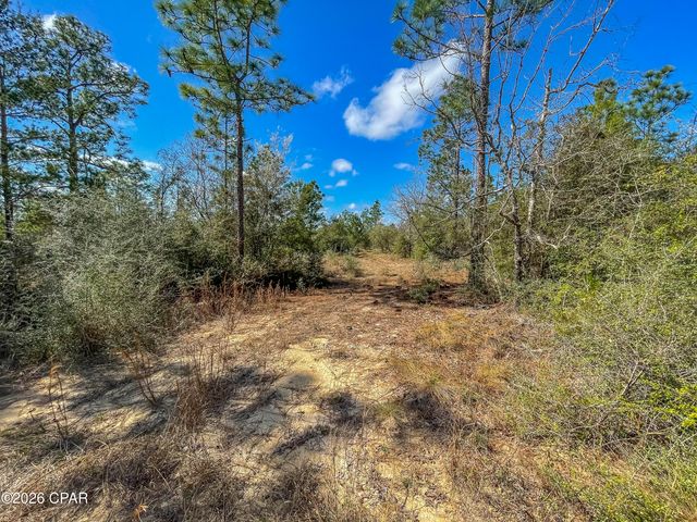 4303 NW Twin Ponds Road, Altha, FL 32421