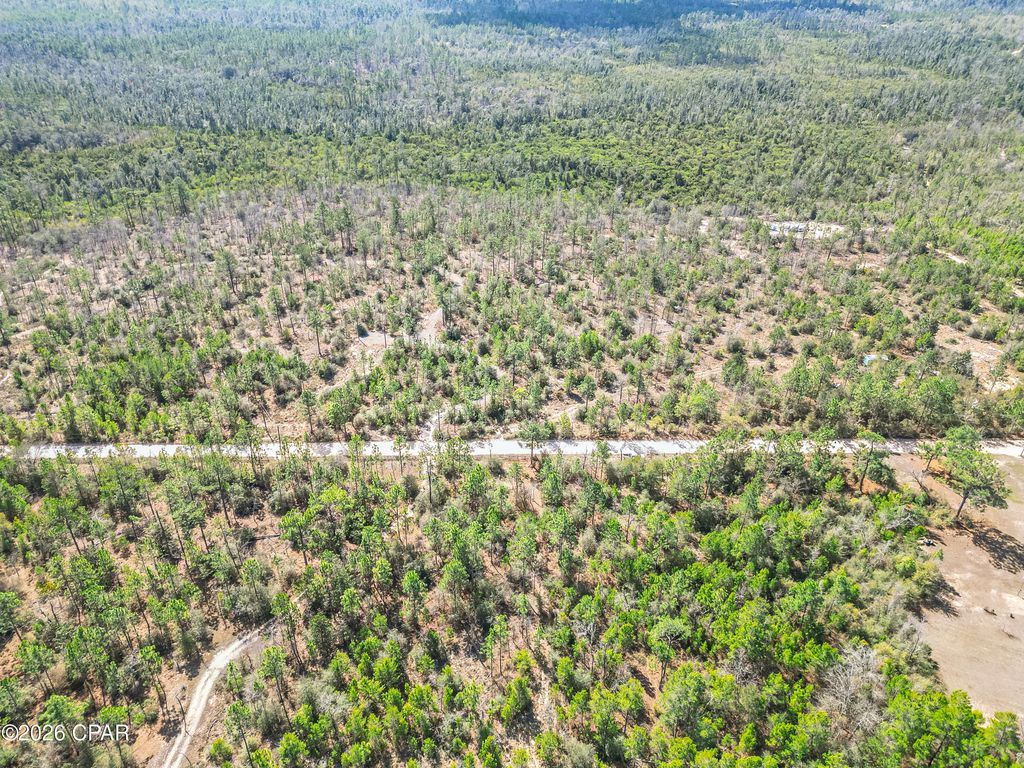 4303 NW Twin Ponds Road, Altha, FL 32421