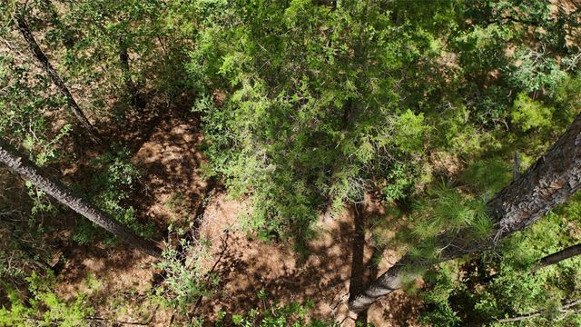 Lot 232 Hekili DR, Bastrop, TX 78602