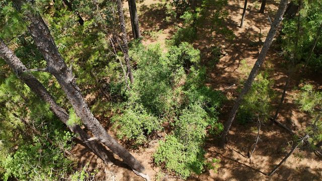 Lot 232 Hekili DR, Bastrop, TX 78602