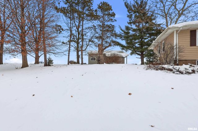 22503 45TH Avenue, Port Byron, IL 61275