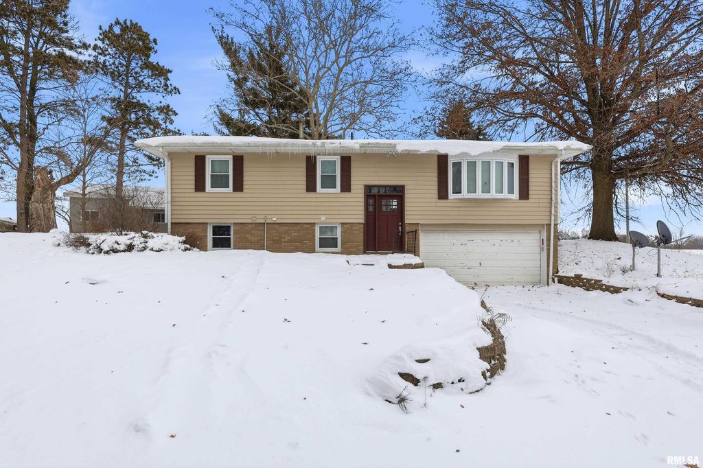 22503 45TH Avenue, Port Byron, IL 61275