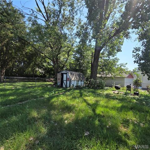 916 W Monroe Street, Belleville, IL 62220