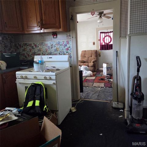 916 W Monroe Street, Belleville, IL 62220