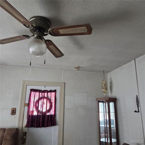 916 W Monroe Street, Belleville, IL 62220