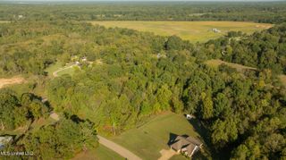 Cooper Road Farms, Byhalia, MS 38611