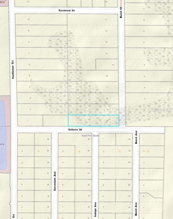 Image 11 of property listing at 1002 BUIST ST, Orlando, FL 32828