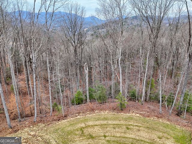 804 Settlers Ridge Road, Ellijay, GA 30540