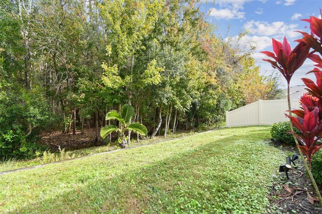 32813 SAND CREEK DRIVE, Wesley Chapel, FL 33543