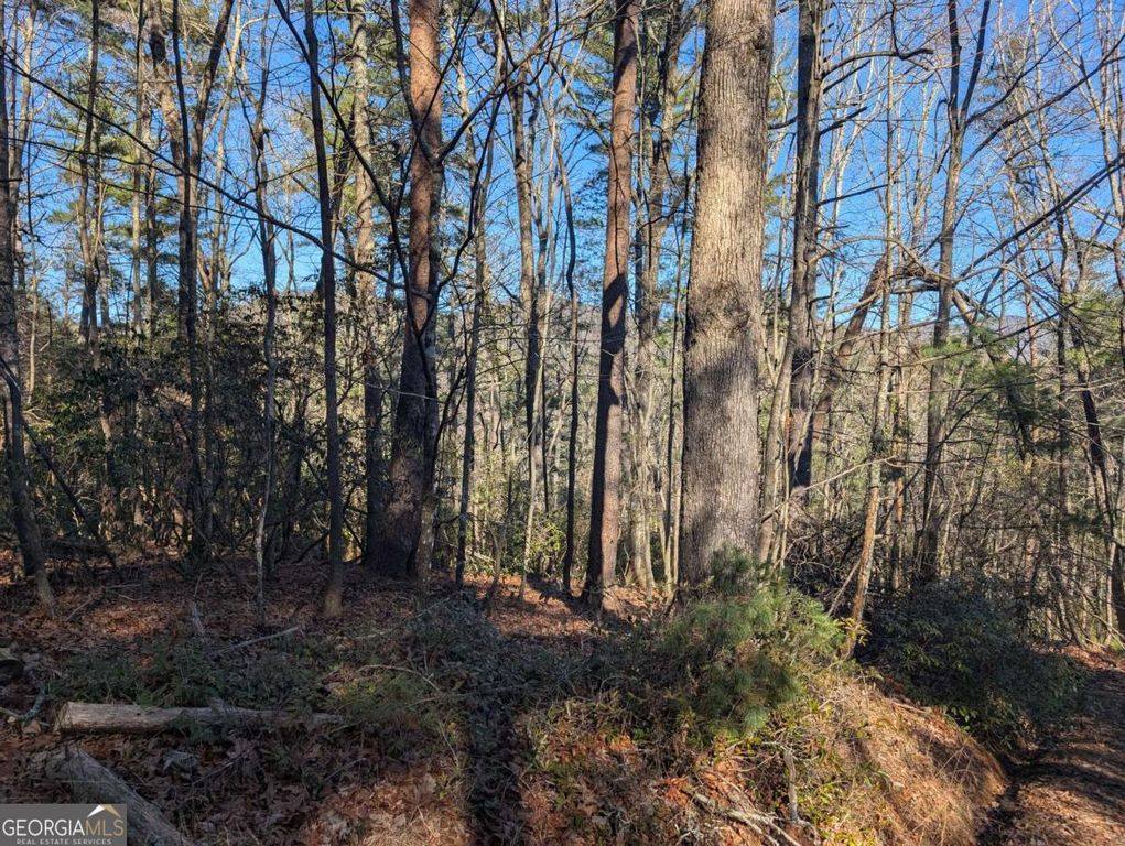 LOT J251 Pine Ridge Court, Ellijay, GA 30536