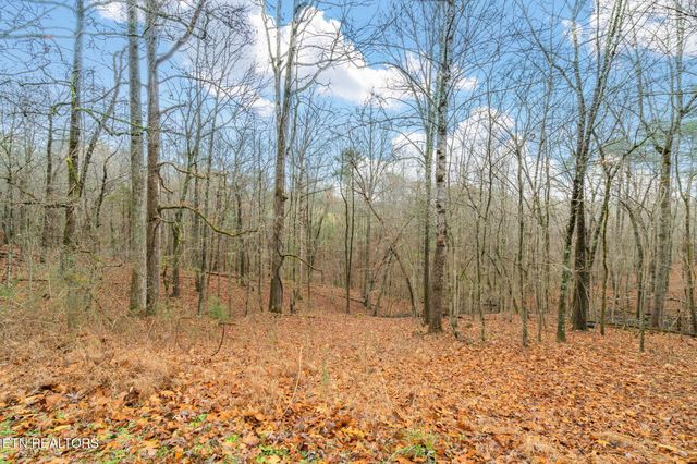 131 Cates Rd, Rockwood, TN 37854