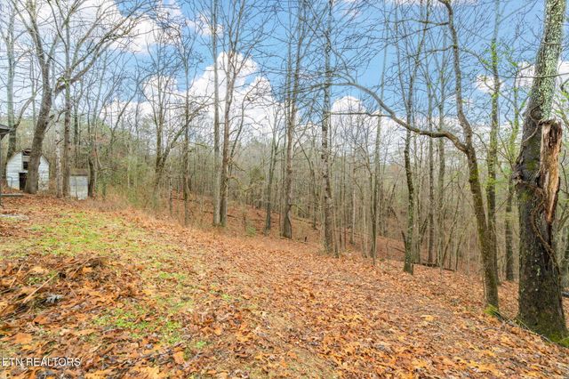 131 Cates Rd, Rockwood, TN 37854