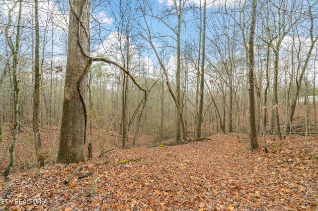 131 Cates Rd, Rockwood, TN 37854