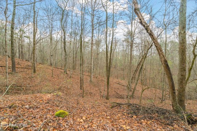 131 Cates Rd, Rockwood, TN 37854