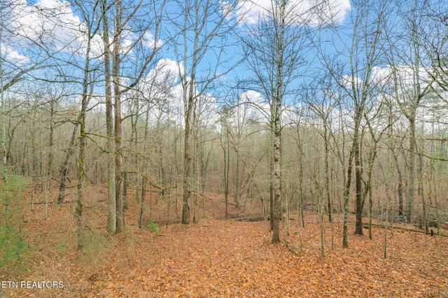 131 Cates Rd, Rockwood, TN 37854