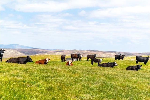 8050 Bitterwater Road, Shandon, CA 93461