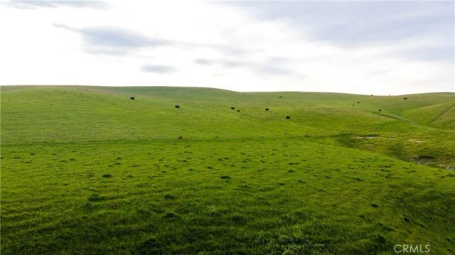 8050 Bitterwater Road, Shandon, CA 93461