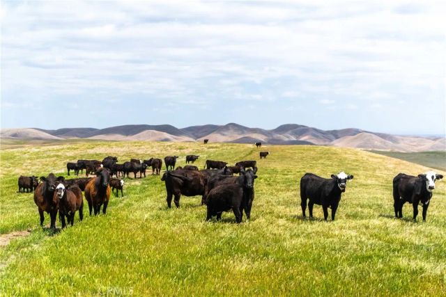 8050 Bitterwater Road, Shandon, CA 93461