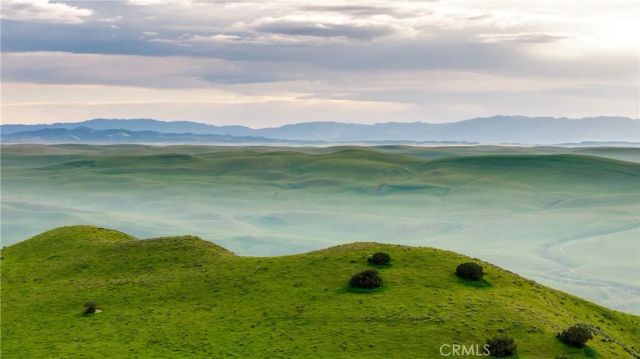 8050 Bitterwater Road, Shandon, CA 93461