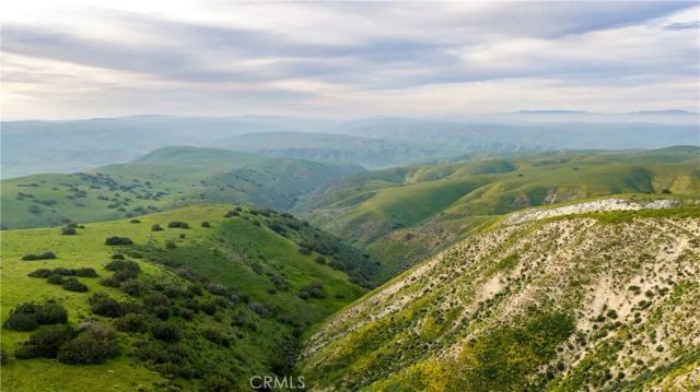 8050 Bitterwater Road, Shandon, CA 93461