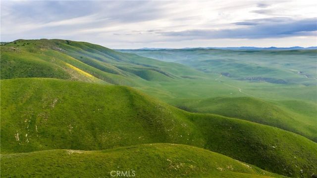 8050 Bitterwater Road, Shandon, CA 93461