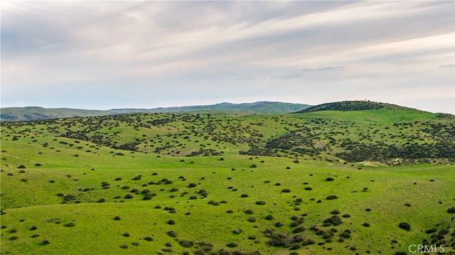 8050 Bitterwater Road, Shandon, CA 93461