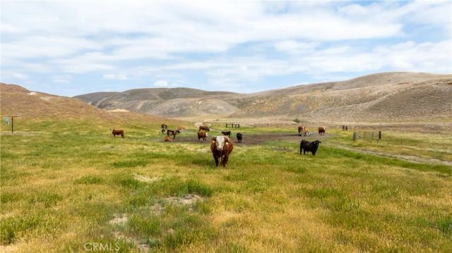 8050 Bitterwater Road, Shandon, CA 93461