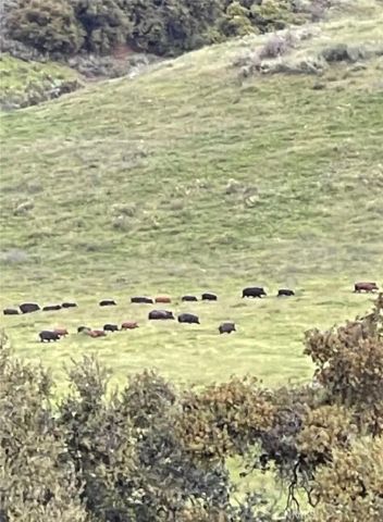 8050 Bitterwater Road, Shandon, CA 93461