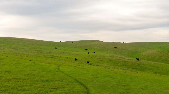 8050 Bitterwater Road, Shandon, CA 93461