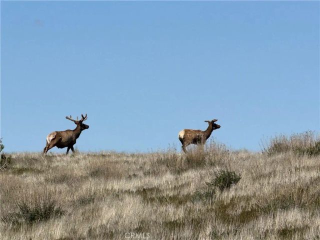 8050 Bitterwater Road, Shandon, CA 93461