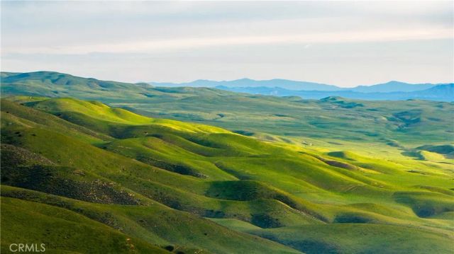 8050 Bitterwater Road, Shandon, CA 93461