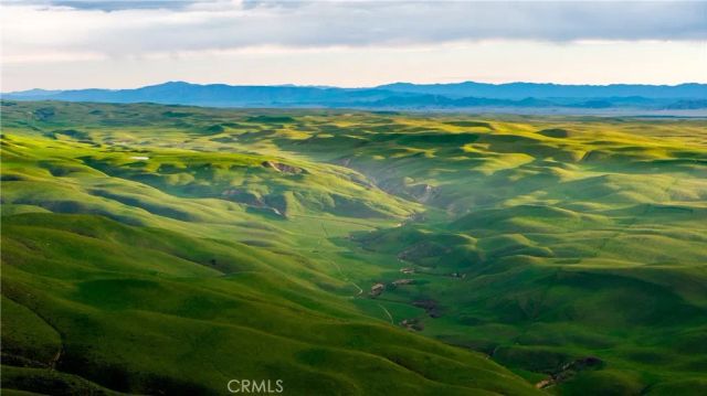 8050 Bitterwater Road, Shandon, CA 93461