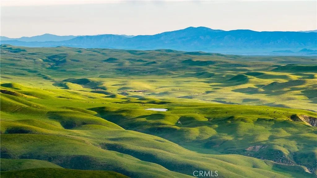 8050 Bitterwater Road, Shandon, CA 93461