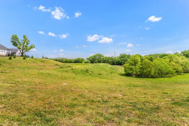 928 Carraway Ln, Spring Hill, TN 37174