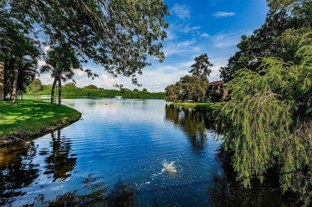Image 48 of property listing at 781 VILLAGE LAKE TERRACE N 101A, St Petersburg, FL 33716