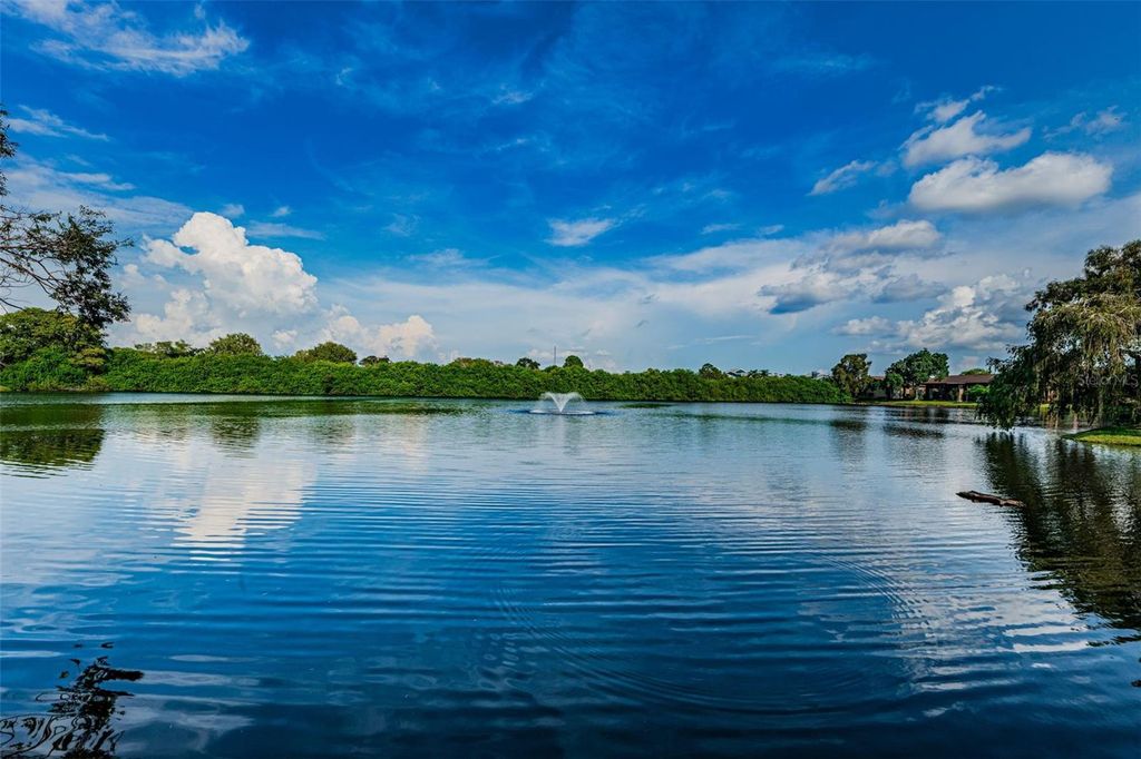 Image 52 of property listing at 781 VILLAGE LAKE TERRACE N 101A, St Petersburg, FL 33716
