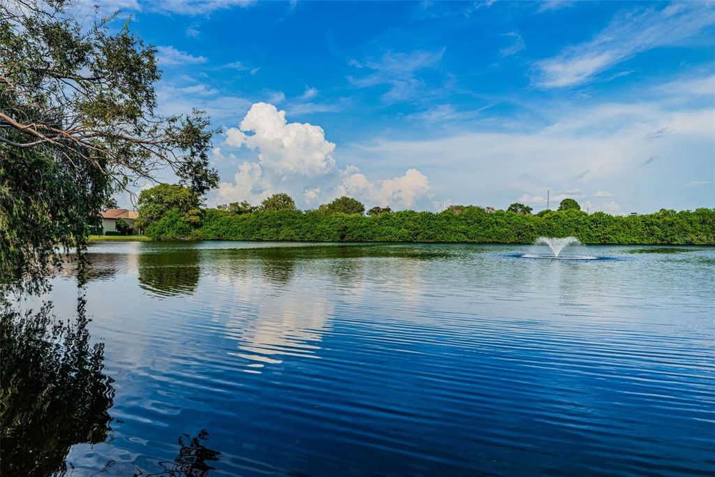 Image 53 of property listing at 781 VILLAGE LAKE TERRACE N 101A, St Petersburg, FL 33716