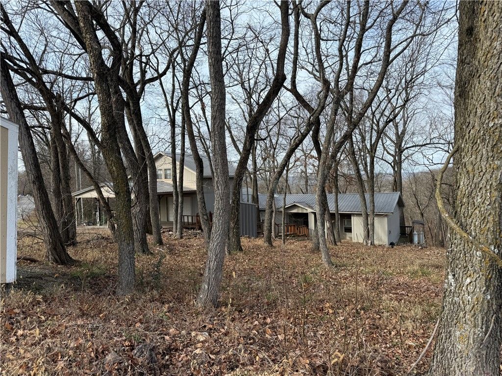 101 Saturn Avenue, Holiday Island, AR 72631