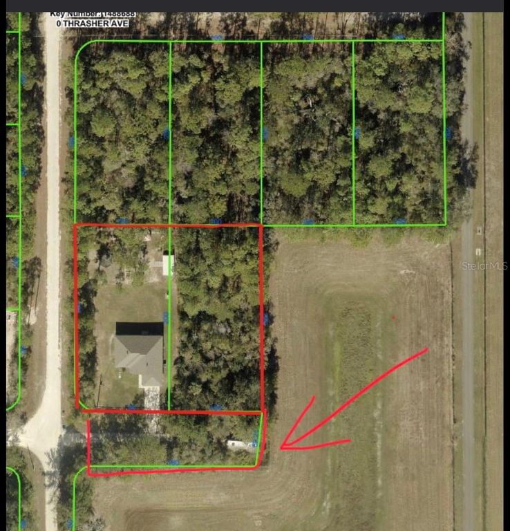 Image 47 of property listing at 14241 RAVINE AVENUE, Weeki Wachee, FL 34614