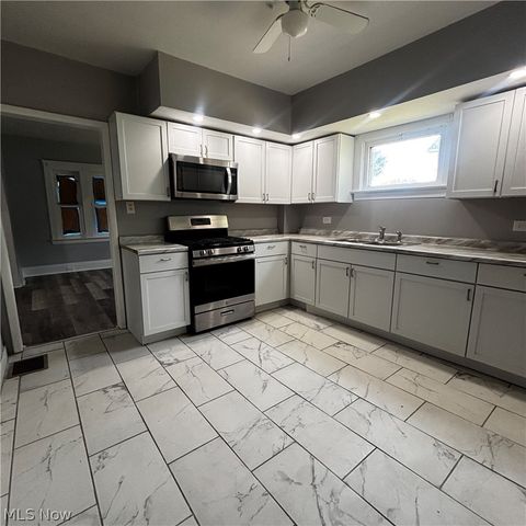 685 E 131st Street, Cleveland, OH 44108