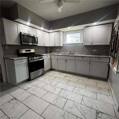 685 E 131st Street, Cleveland, OH 44108
