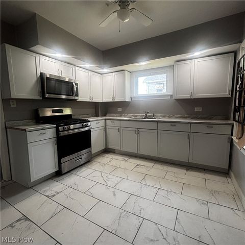 685 E 131st Street, Cleveland, OH 44108