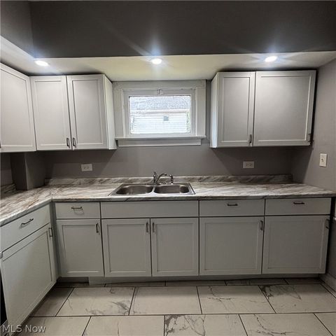 685 E 131st Street, Cleveland, OH 44108