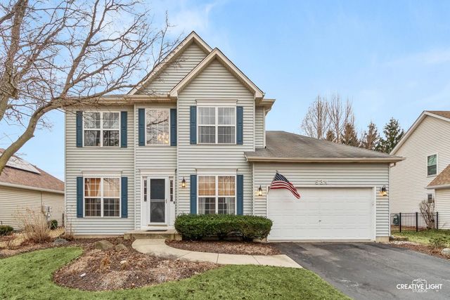 534 Chestnut Drive, Oswego, IL 60543