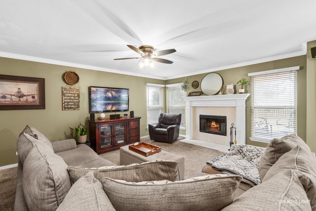 534 Chestnut Drive, Oswego, IL 60543