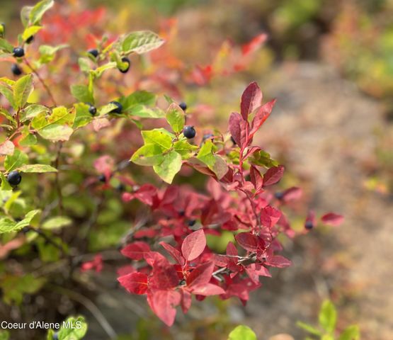 5 Crystal Springs Rd, Sandpoint, ID 83864