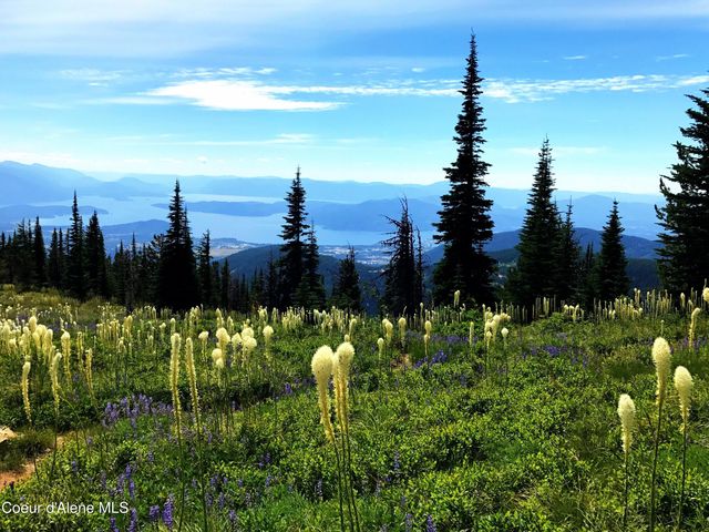 5 Crystal Springs Rd, Sandpoint, ID 83864